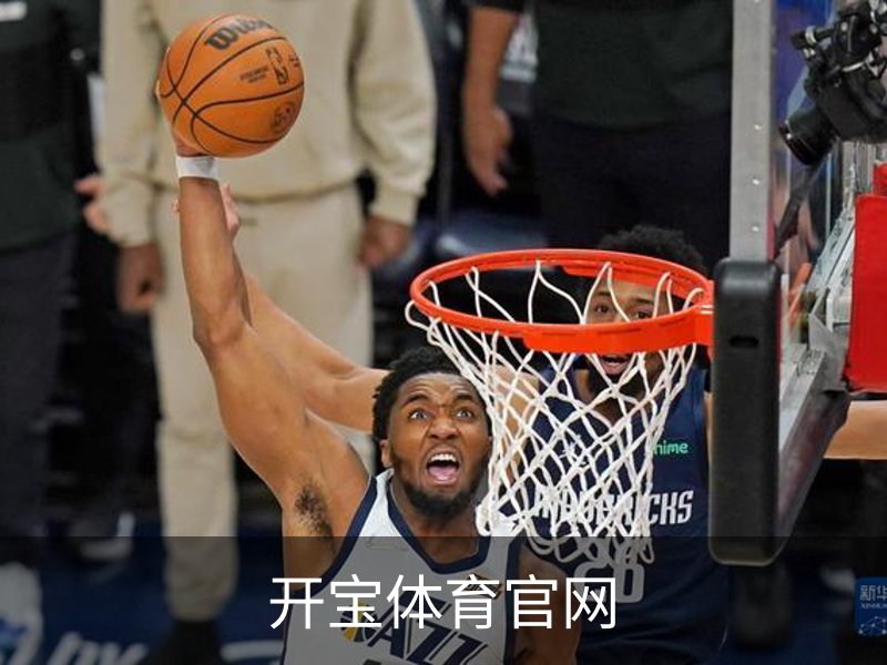 开宝体育官网概况