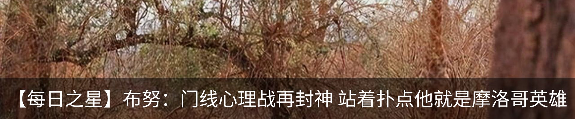 行业资讯
