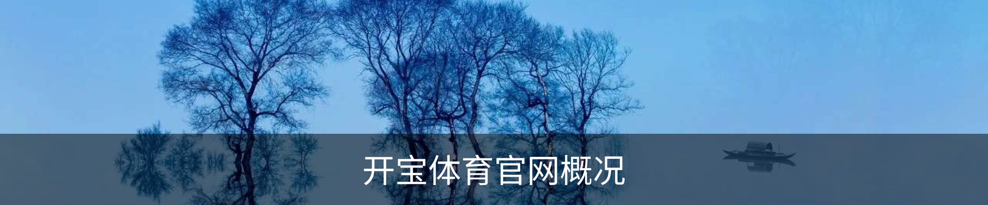 开宝体育官网概况